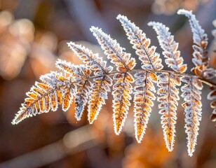 Close-up view of a frosted fern frond, displaying delicate details against a warm, blurred background