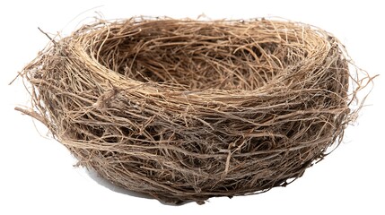 bird nest isolated on a white background
