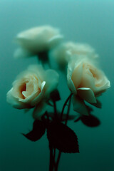 Abstract Floral Fusion background with a surreal twist. Geometric shapes seamlessly meld with vibrant flowers in shades of pastel pink soft colirs, smoothy design