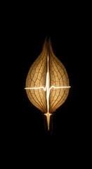 Obraz premium Illuminated skeletal plant pod displays a glowing central line resembling a cardiac rhythm.
