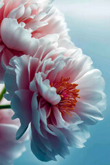 Abstract Floral Fusion background with a surreal twist. Geometric shapes seamlessly meld with vibrant flowers in shades of pastel pink soft colirs, smoothy design