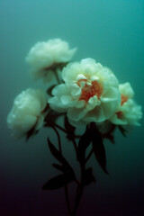 Abstract Floral Fusion background with a surreal twist. Geometric shapes seamlessly meld with vibrant flowers in shades of pastel pink soft colirs, smoothy design