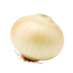 Single Whole Yellow Onion With Roots and Papery Skin Isolated on White Background Studio Shot
