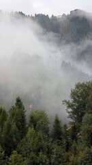 Red cable cars ascending through fog over the forest at Alpe di Siusi, Dolomites, Italy.