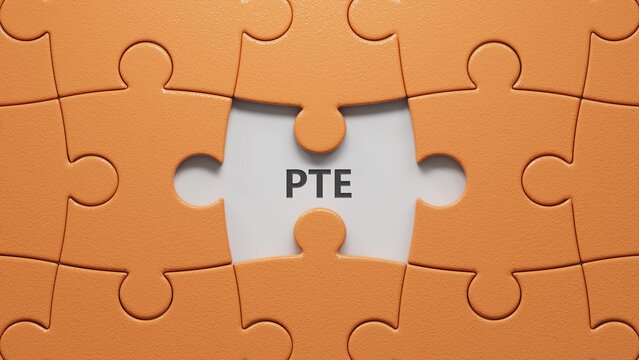 Three puzzle pieces with missing pieces with the letters PTE.close up of puzzle pieces with missing pieces,Business Concept.3D rendering.