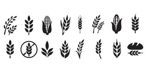 Fototapeta na wymiar wheat icon, Grey Cereals icon set with rice, wheat, corn, oats, Vector farm wheat ears icon, Gluten free icon, Wheat logo. Icon bakery. Spike wheat. Bread grain