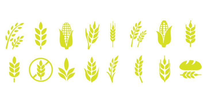 wheat icon, Grey Cereals icon set with rice, wheat, corn, oats, Vector farm wheat ears icon, Gluten free icon, Wheat logo. Icon bakery. Spike wheat. Bread grain