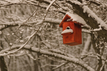 Old orange birdhouse nestled among bare winter branches in soft light