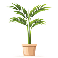 Fototapeta premium Tropical palm plant with broad green leaves in beige pot, adding fresh and natural touch to indoor spaces