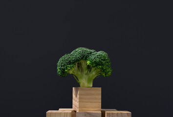 Florete fresco de brócoli colocado sobre piezas de madera sobre fondo gris oscuro