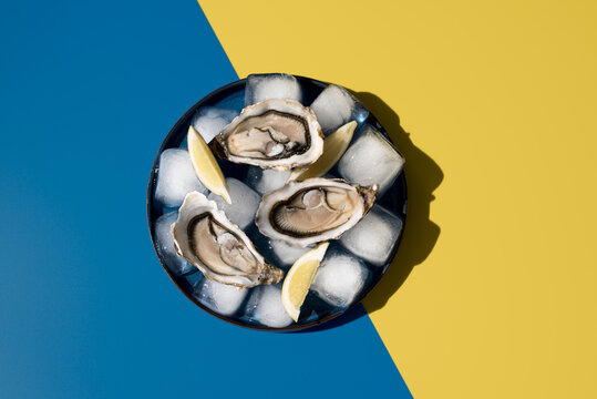 Deliciosas ostras frescas con lim&oacute;n sobre hielo en un plato sobre un fondo azul y amarillo. Vista superior	