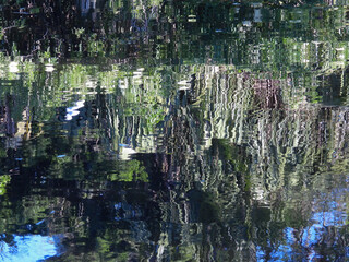Tree reflection in abstract