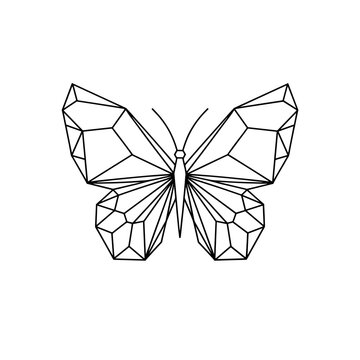 Geometric butterfly minimal polygonal vector on transparent background