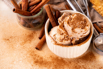Homemade cinnamon spiced ice cream