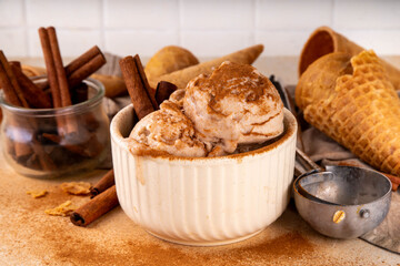 Homemade cinnamon spiced ice cream