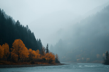 fog in the mountains