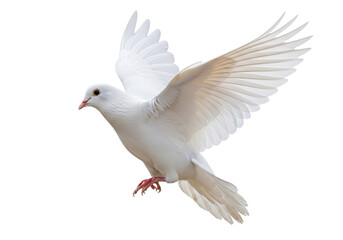 A white dove in flight, isolated on a transparent background, symbolizing peace, hope, and freedom