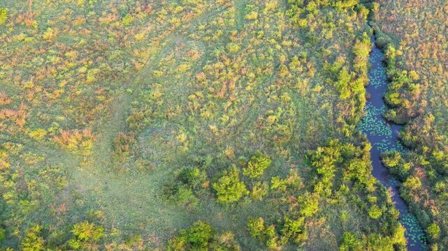 Hot air balloons soar above winding river and colorful grasslands in Maasai Mara National Reserve, Kenya.