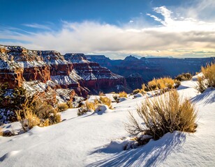 Canyon view with snow-covered foreground, cliffs with layered strata and blue sky backdrop