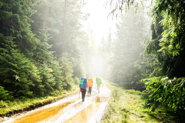 Female woman tourists with large backpacks walk along a foggy green forest trail against the backdrop of mountains, travelling and hiking in the mountain