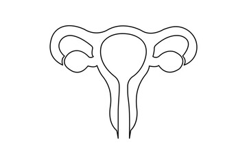 Minimalist uterus line drawing illustration on white background