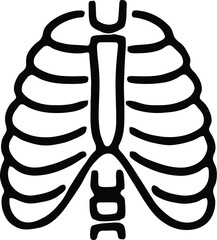 Simple line drawing of human rib cage anatomy
