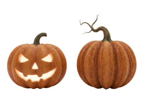 Halloween pumpkin pair isolated vegetable illustration isolated on transparent background