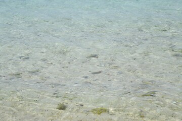 沖縄 備瀬ビーチ