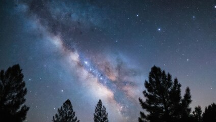Majestic night sky reveals the Milky Way, trees silhouetted against the cosmos