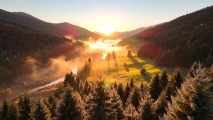 A breathtaking sunrise over a misty valley, surrounded by evergreen trees and mountains - Powered by Adobe