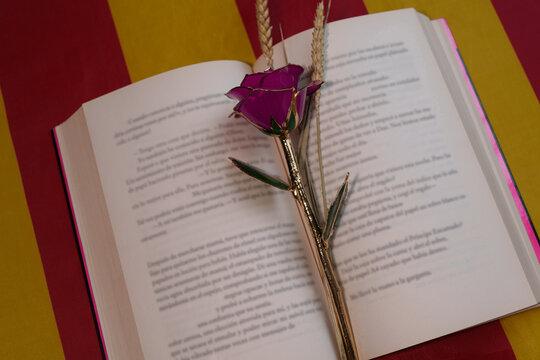 Open book with a crystal rose on the Catalan flag