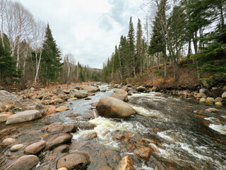 Une rivi&egrave;re dans la for&ecirc;t bor&eacute;ale