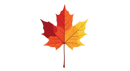 Autumnal Splendor A Vibrant Maple Leaf Depicting Fall's Colorful Transformation