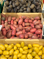 Different varieties of potatoes on market stall