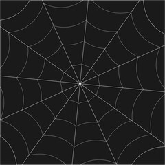 Whole Spider's web pattern background 