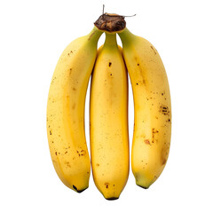 Bunch of ripe yellow bananas isolated on transparent background