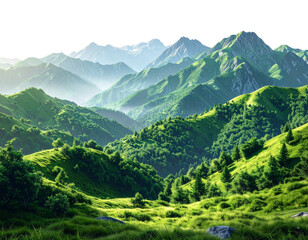 Lush Green Mountain Landscape with Dense Forest Valleys, Realistic Scenic View PNG