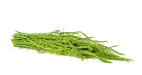 fresh senegalia pennata. isolated on white background