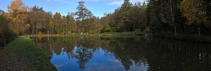 Fish pond at Willersdorf, Oberwart district, Burgenland, Austria, Europe, Central Europe
