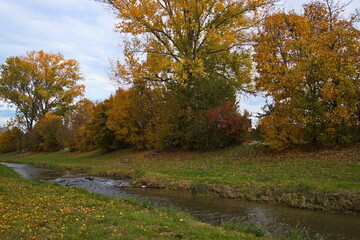 Colorful trees at the river Pinka in Oberwart, Burgenland, Austria, Europe, Central Europe
