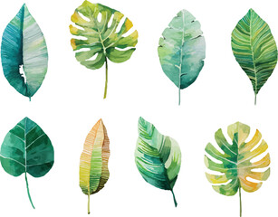 collection of leaves