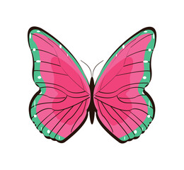 A vibrant butterfly illustration with pink wings and green accents on a clean white background design