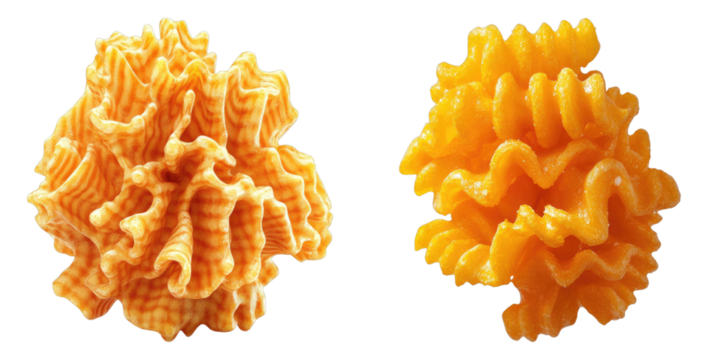 Two close-up shots showcase the beauty of intricate pasta shapes, the image on the left has the appearance of the coral reef. Both pasta shapes have golden-brown tones