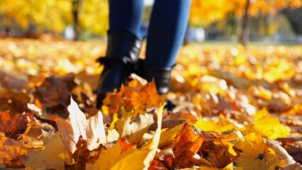 Low view of female feet in boots going on fallen maple leaves at parkland. Legs of young woman stepping on yellow foliage at park. Girl walking at parkland on autumn sunny day. Slow motion