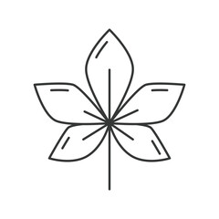 A black line drawing of a fivelobed leaf with a stem Each lobe has an inner vein