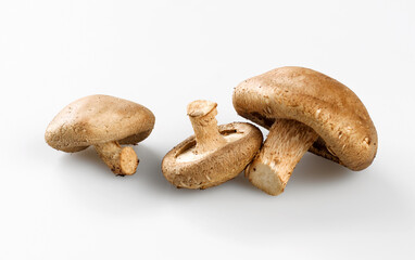 Shitake Pilze,asien, isoliert,weiss,food,drei, frisch