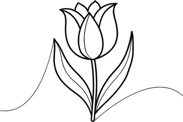 Delicate line drawing of leaves,Elegant line art design of leaves and stems..