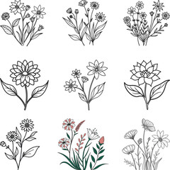 Wildflower Bouquet Collection Silhouette, Feminine botanical wildflower, Hand-drawn floral elements. Isolated Vector illustration with white Background