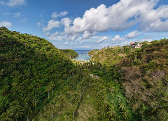 verdant jungle with ocean backdrop, serene tropical forest scene with sunlit canopy and coastal Nusa Penida Diamond Beach Bali 