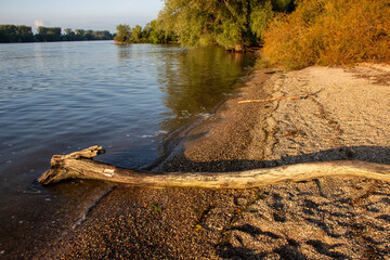 Tranquil riverbank scene featuring a weathered log resting on sandy shore, surrounded by lush greenery and calm water reflecting the serene atmosphere of nature